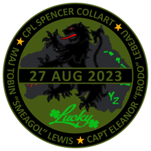 Load image into Gallery viewer, TWF Memorial Patch Stickers